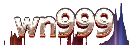 wn999 logo